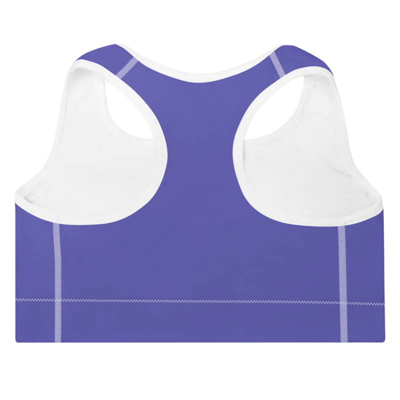 Brassière de sport Sweat Hold Up en nylon Econyl, douce et respirante, avec dos nageur pour un maintien léger. Disponible en rose, violet et orange. Photo de dos du produit.