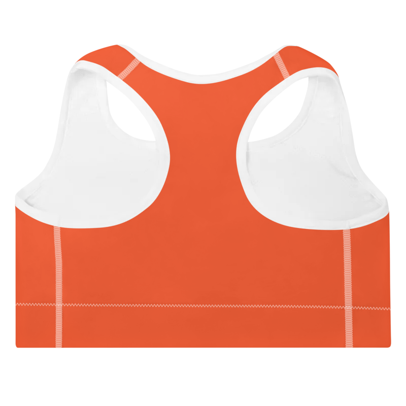 Brassière de sport Sweat Hold Up en nylon Econyl, douce et respirante, avec dos nageur pour un maintien léger. Disponible en rose, violet et orange. Photo du produit de dos.