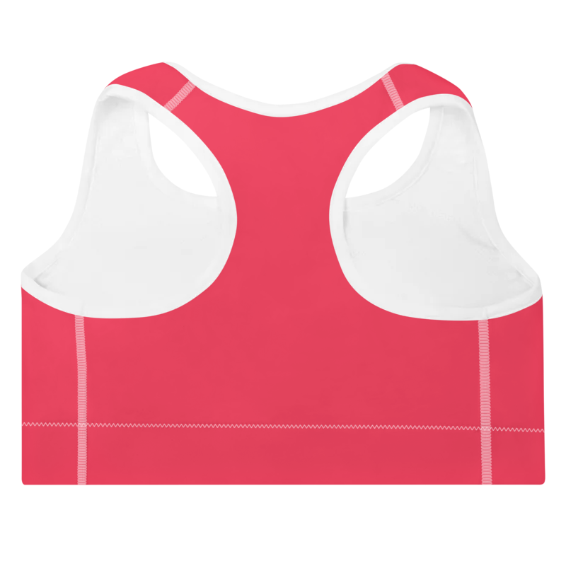 Brassière de sport Sweat Hold Up en nylon Econyl, douce et respirante, avec dos nageur pour un maintien léger. Disponible en rose, violet et orange. Photo du produit de dos.